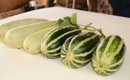 网红瓜群吃小甜瓜,甜蜜瞬间引爆网络