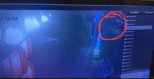 成都网约车吃瓜,揭秘网约车行业的争议与反思