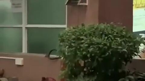 最新吃瓜事件台州新闻网,揭秘最新吃瓜事件，真相大白！