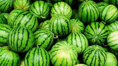 网爆吃瓜官网,揭秘娱乐圈幕后真相，带你走进吃瓜群众的世界