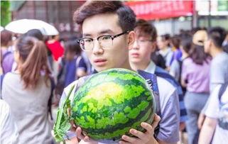 人人吃瓜官网一超级大瓜