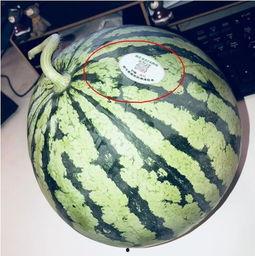 邳州网红吃瓜,揭秘网络红人的幕后真相