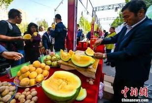 缅甸吃瓜网最新爆料,揭秘娱乐圈最新猛料！