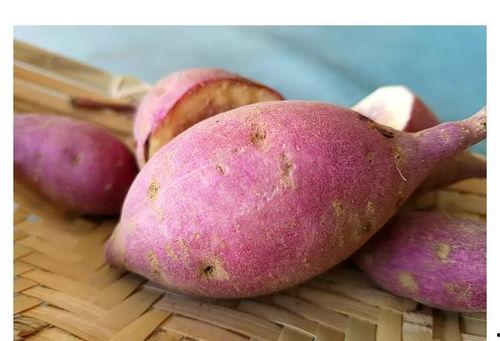 广东网红吃瓜